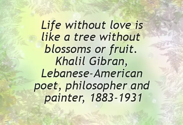 Congratulations Before Wedding Congratulations Before Wedding