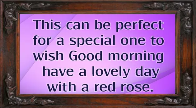Good Morning Wishes With Rose Flowers Good Morning Wishes With Rose Flowers