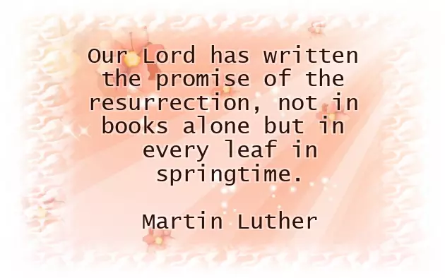 I Wish Happy Easter I Wish Happy Easter