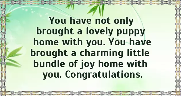 Congrats On Your New Puppy Congrats On Your New Puppy