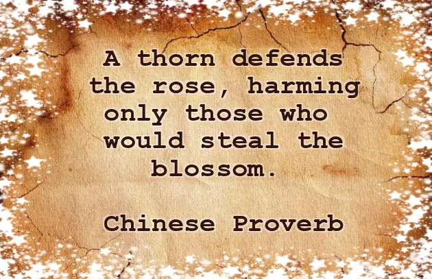 Good Morning Wishes Rose Flower Good Morning Wishes Rose Flower