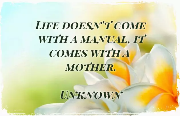 50Th Birthday Quotes For Mum 50Th Birthday Quotes For Mum