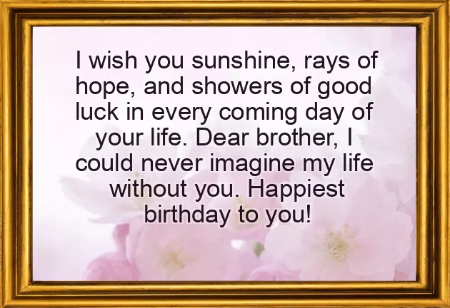 Brother Happy Birthday Brother Happy Birthday