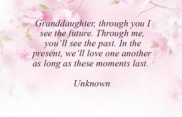 Birthday Wishes To Your Granddaughter Birthday Wishes To Your Granddaughter