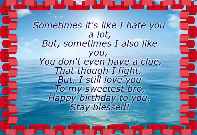 Funny Happy Birthday Brother Poems From Sister Funny Happy Birthday Brother Poems From Sister