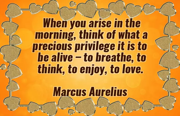 Good Morning Have A Nice Day Sunday