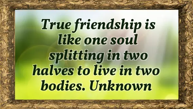 Happy Birthday Wishes To Girl Best Friend Happy Birthday Wishes To Girl Best Friend