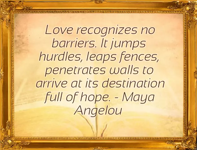 New Married Life Quotes New Married Life Quotes