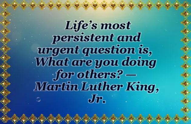 Said Quotes Said Quotes