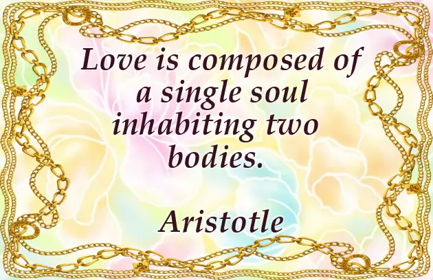 Funny Pre Wedding Quotes Funny Pre Wedding Quotes