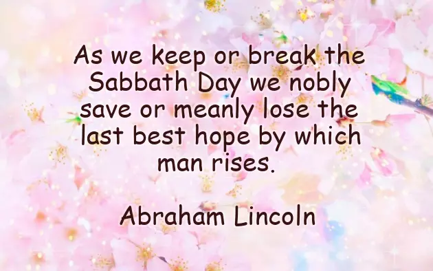 Good Afternoon Happy Saturday Good Afternoon Happy Saturday