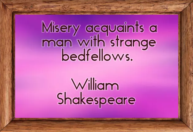 Funny Shakespeare Quotes Funny Shakespeare Quotes