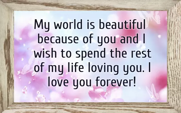 Fathers Day Wishes From Wife Fathers Day Wishes From Wife