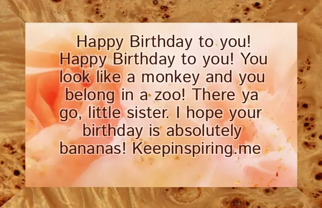 Funny Birthday Wishes To Little Brother Funny Birthday Wishes To Little Brother