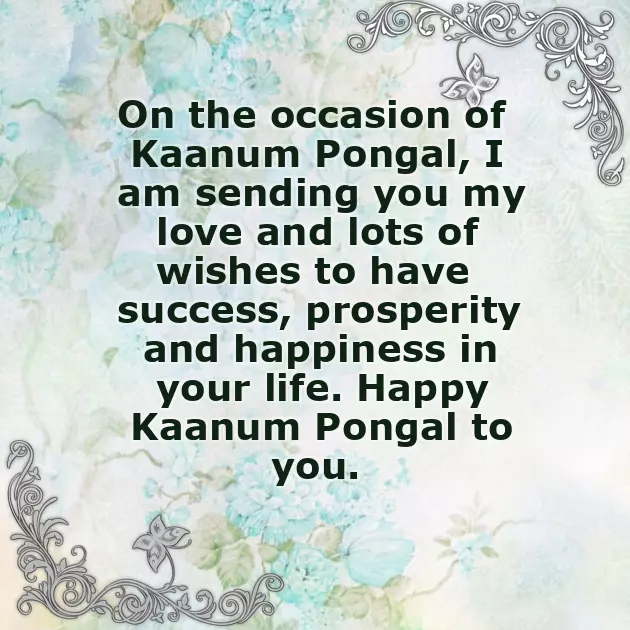 Wishes Of Pongal Wishes Of Pongal