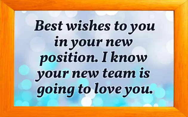 Congratulations On New Appointment Congratulations On New Appointment