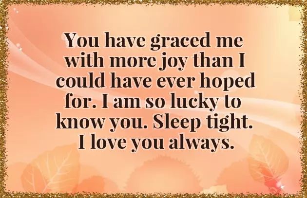 I Love You So Much Good Night I Love You So Much Good Night