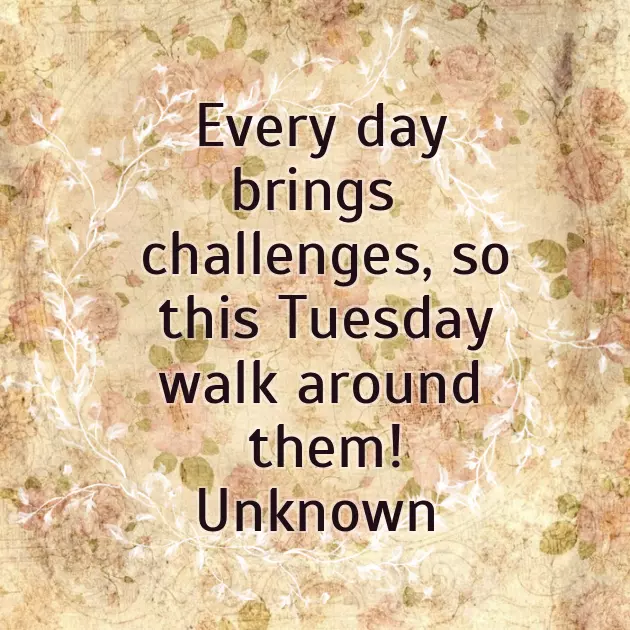 Happy Tuesday Good Morning Wishes Happy Tuesday Good Morning Wishes