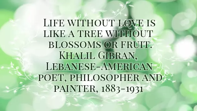 Wedding Congratulations Message Funny Wedding Congratulations Message Funny