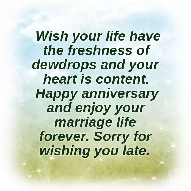 Funny Belated Wedding Anniversary Wishes Funny Belated Wedding Anniversary Wishes