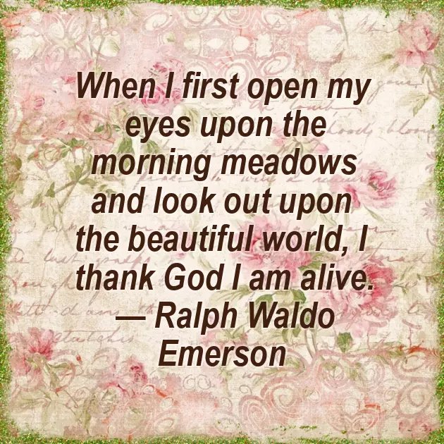 Best Good Morning Messages For Your Girlfriend Best Good Morning Messages For Your Girlfriend