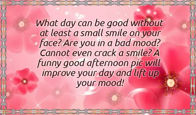 Good Afternoon Family Quotes Good Afternoon Family Quotes