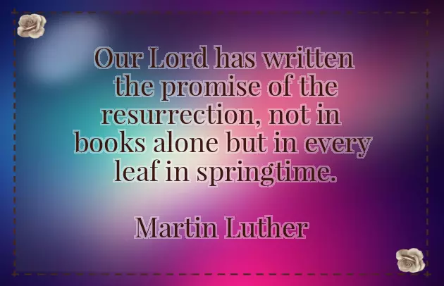 Warm Easter Wishes Warm Easter Wishes