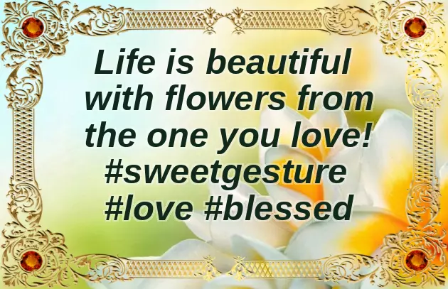 Short Flower Quotes Short Flower Quotes