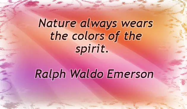 Quotes About Color