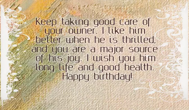 Birthday Dog Birthday Dog