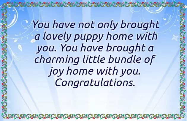 Congratulations On New Dog