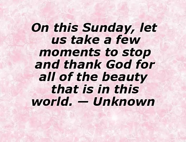 Nature Good Morning Happy Sunday