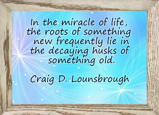 Best New Month Sms Best New Month Sms