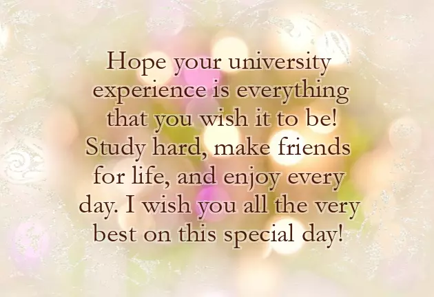 New Year Wishes Text Messages New Year Wishes Text Messages