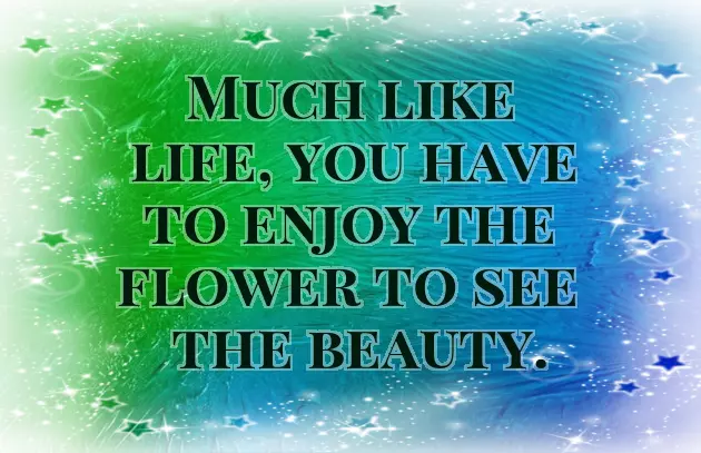 Quotes About Flowers And Life Quotes About Flowers And Life
