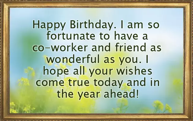 Birthday Friend Funny Quotes