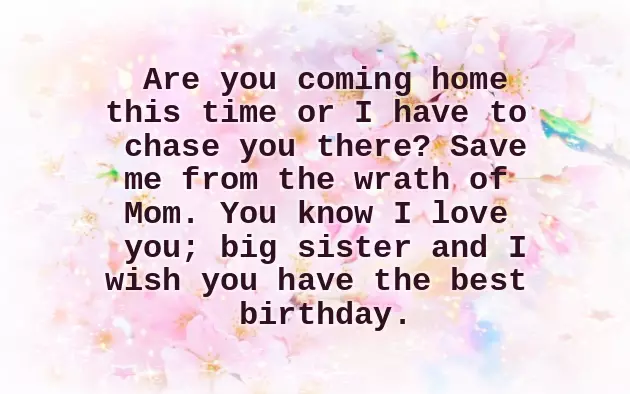 Funny Happy Birthday Big Sister Funny Happy Birthday Big Sister