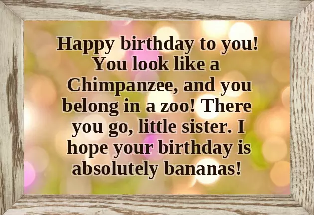 Little Sister Birthday Funny Quotes Little Sister Birthday Funny Quotes