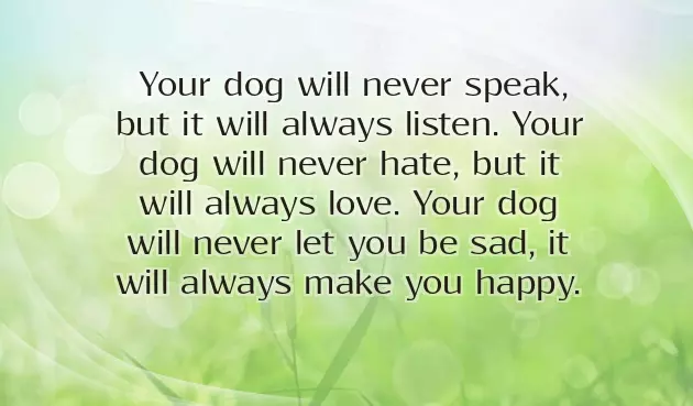 Congratulations On New Dog