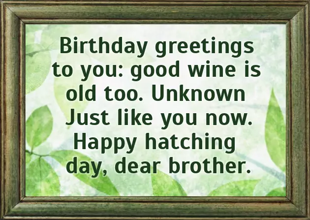 Little Brother Happy Birthday Wishes Little Brother Happy Birthday Wishes