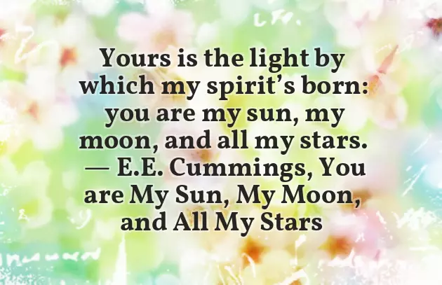 Wedding Guest Quotes Wedding Guest Quotes