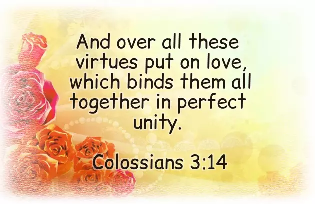 Wedding Anniversary Bible Quotes Wedding Anniversary Bible Quotes