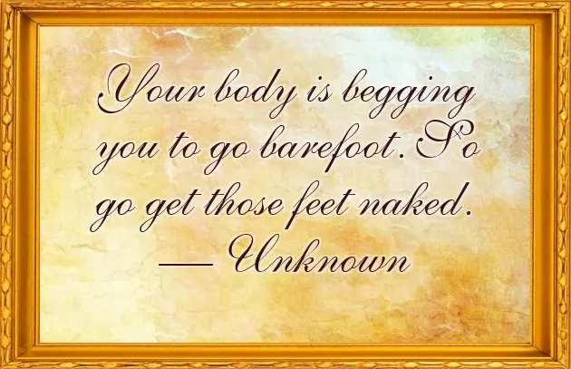 Tuesday Funny Greetings Tuesday Funny Greetings