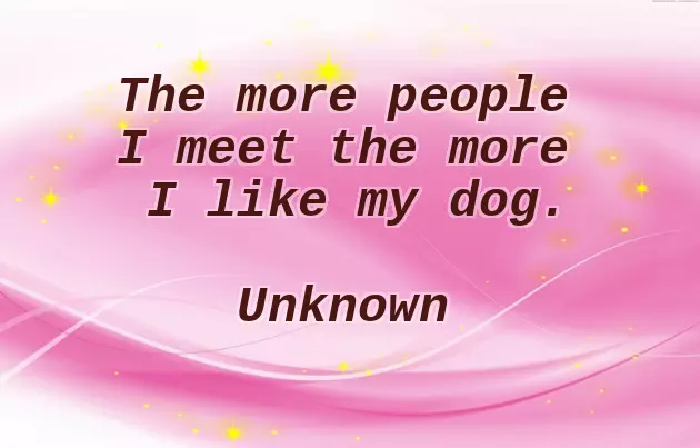 Congratulations On Your New Dog Congratulations On Your New Dog