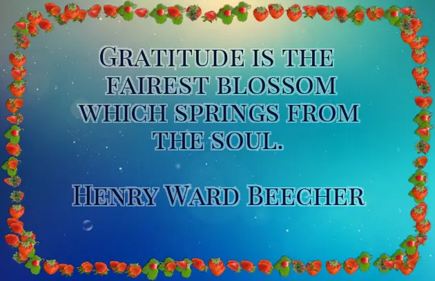 Thankful Thursday Good Morning Thankful Thursday Good Morning