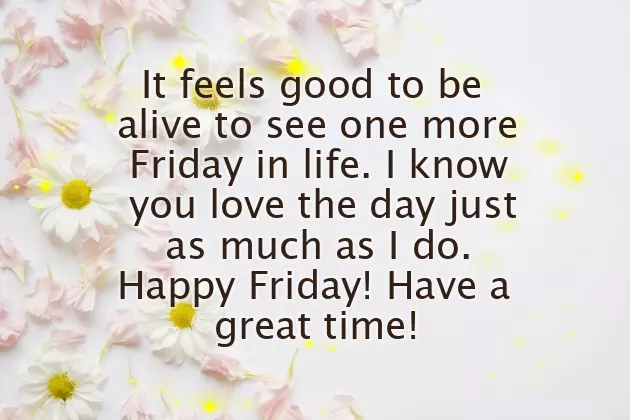 Friday Funny Greetings Friday Funny Greetings