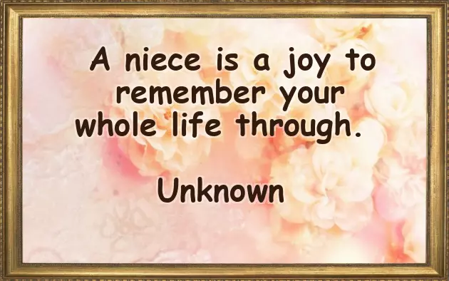 Birthday Wishes For My 2 Year Old Niece Birthday Wishes For My 2 Year Old Niece