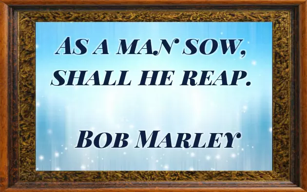 Plant Quotes Short Plant Quotes Short