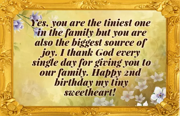 Happy Birthday Girl 2 Years Happy Birthday Girl 2 Years