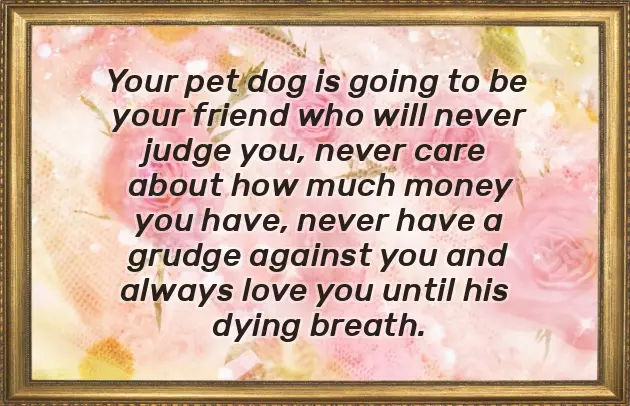 Congratulations On New Dog